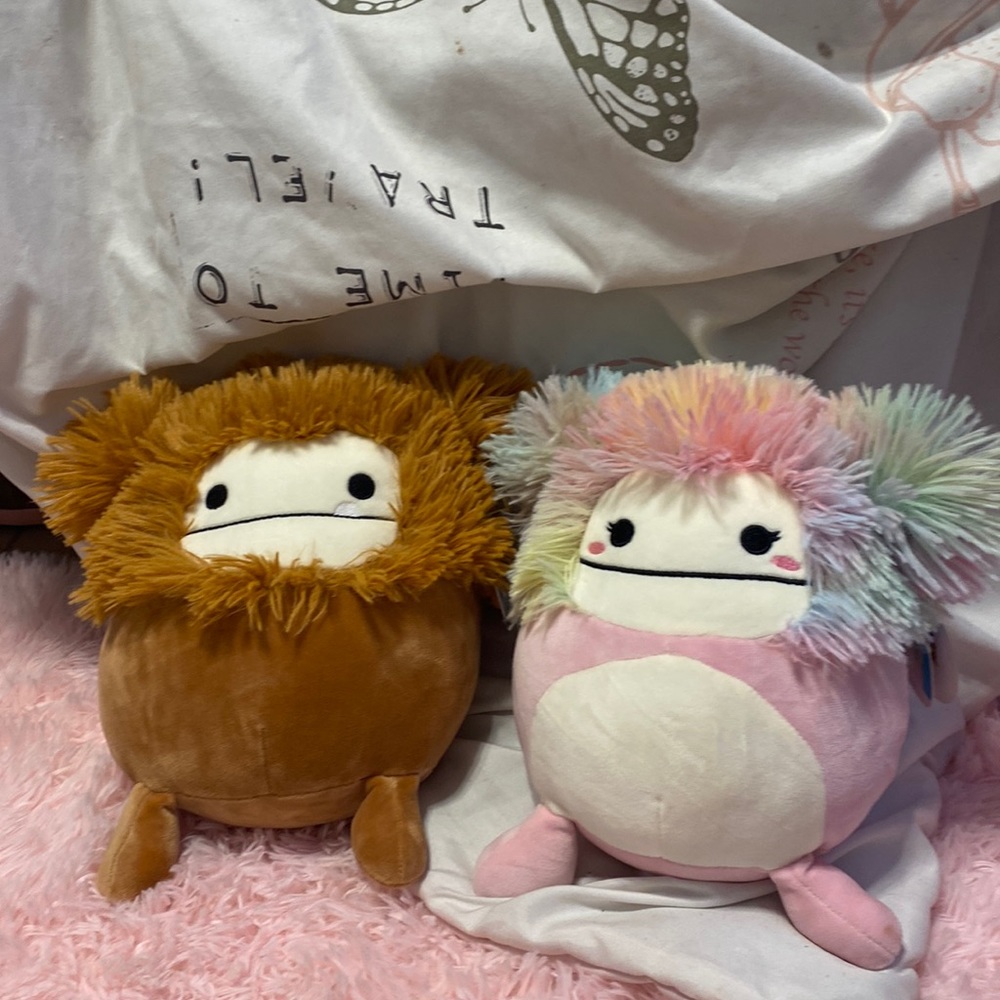 Caparinne & Benny Squishmallows